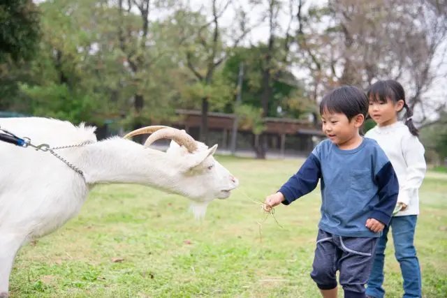 🏞️ 나스 센본마츠 목장(나스 센본마츠 보쿠조) 이미지 4